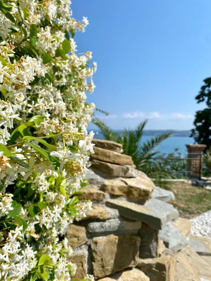 Sunvilla Koper Buitenkant foto
